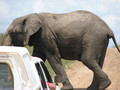 Africa-2007-01-19_04-52-12.jpg