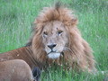 Africa-2007-01-19_10-40-25.jpg