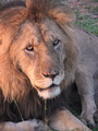 Africa-2007-01-20_00-01-45.jpg