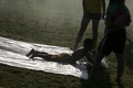 VBS-2008-07-30_18-33-10.jpg