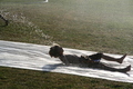 VBS-2008-07-30_18-33-22b.jpg